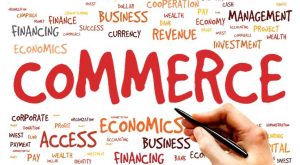 career options after 12th commerce